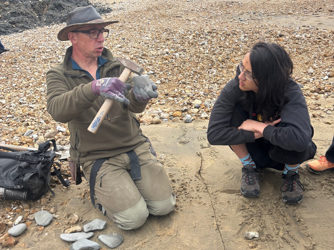 Jurassic Coast Guides-Charmouth必去景点