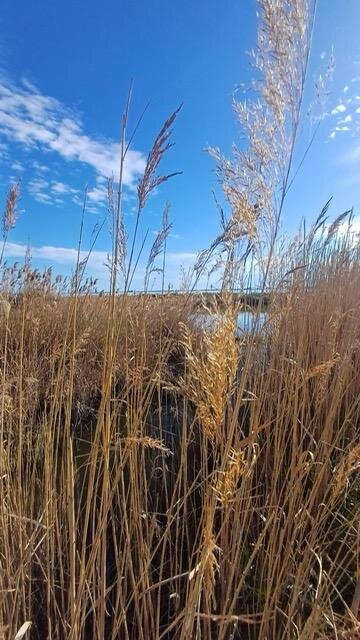 Safari Karine Cœur de Camargue-Montcalm必去景点