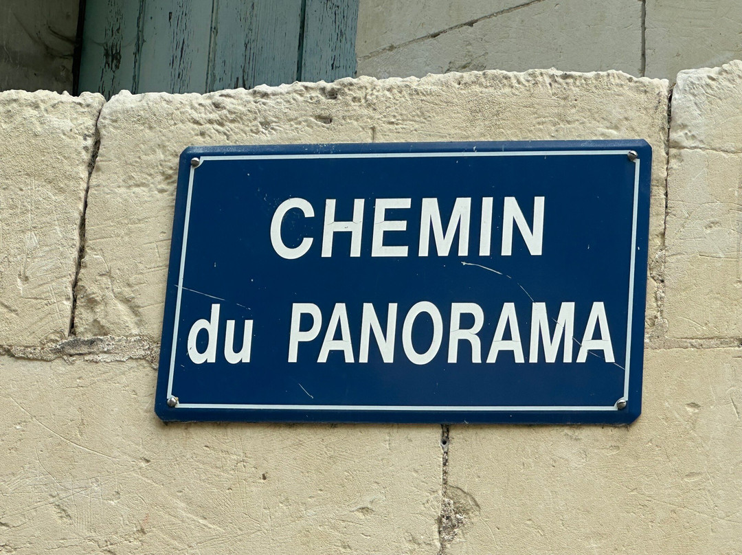 Panorama du belvédère de la confluence