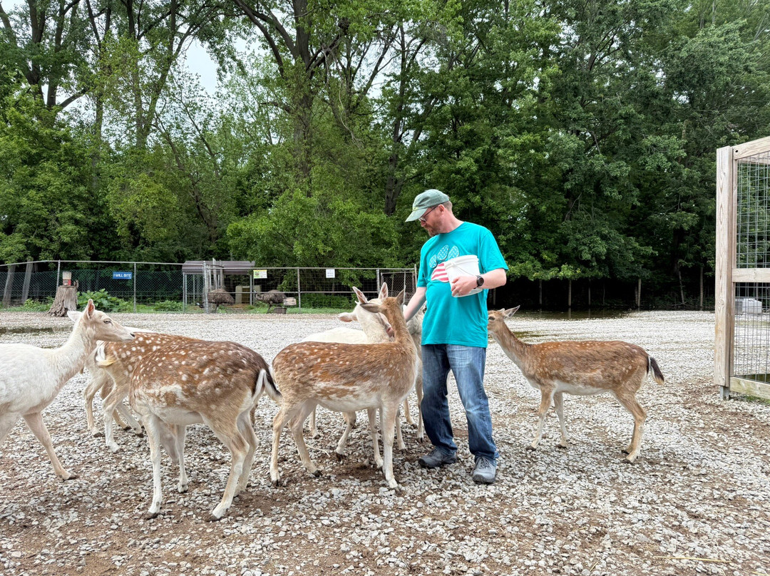 Lagoon Deer Park-桑达斯基必去景点