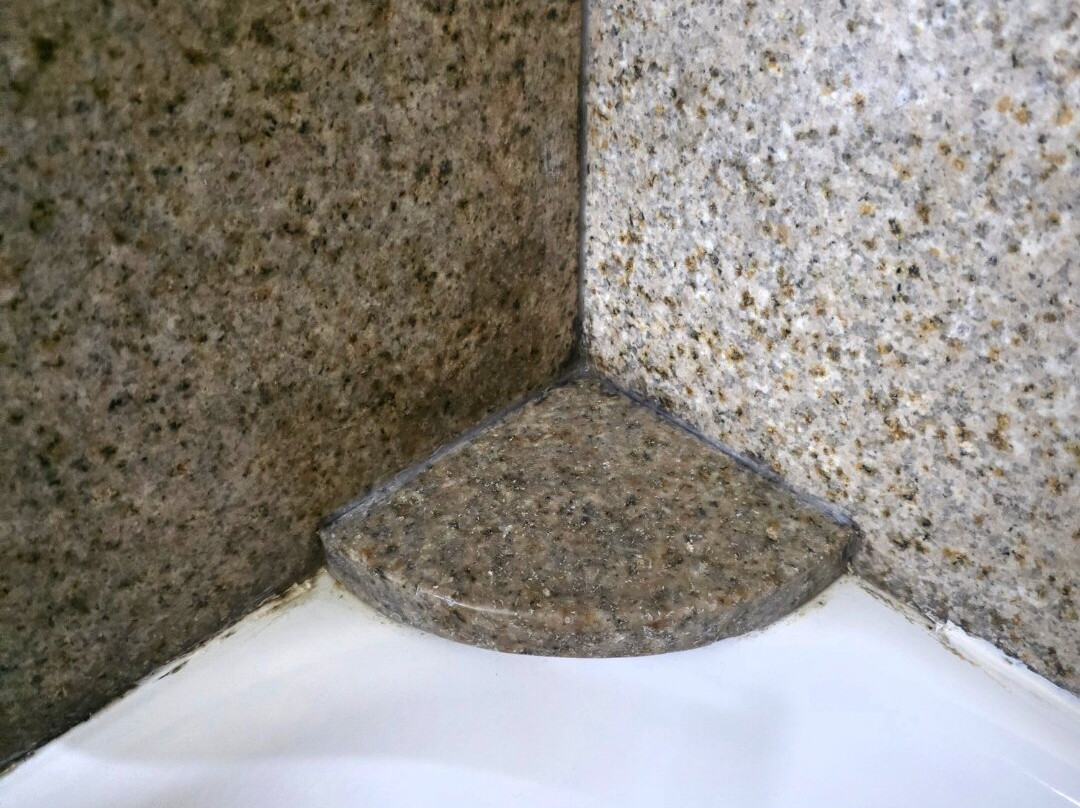 博林格林拉昆塔温德姆套房酒店主图