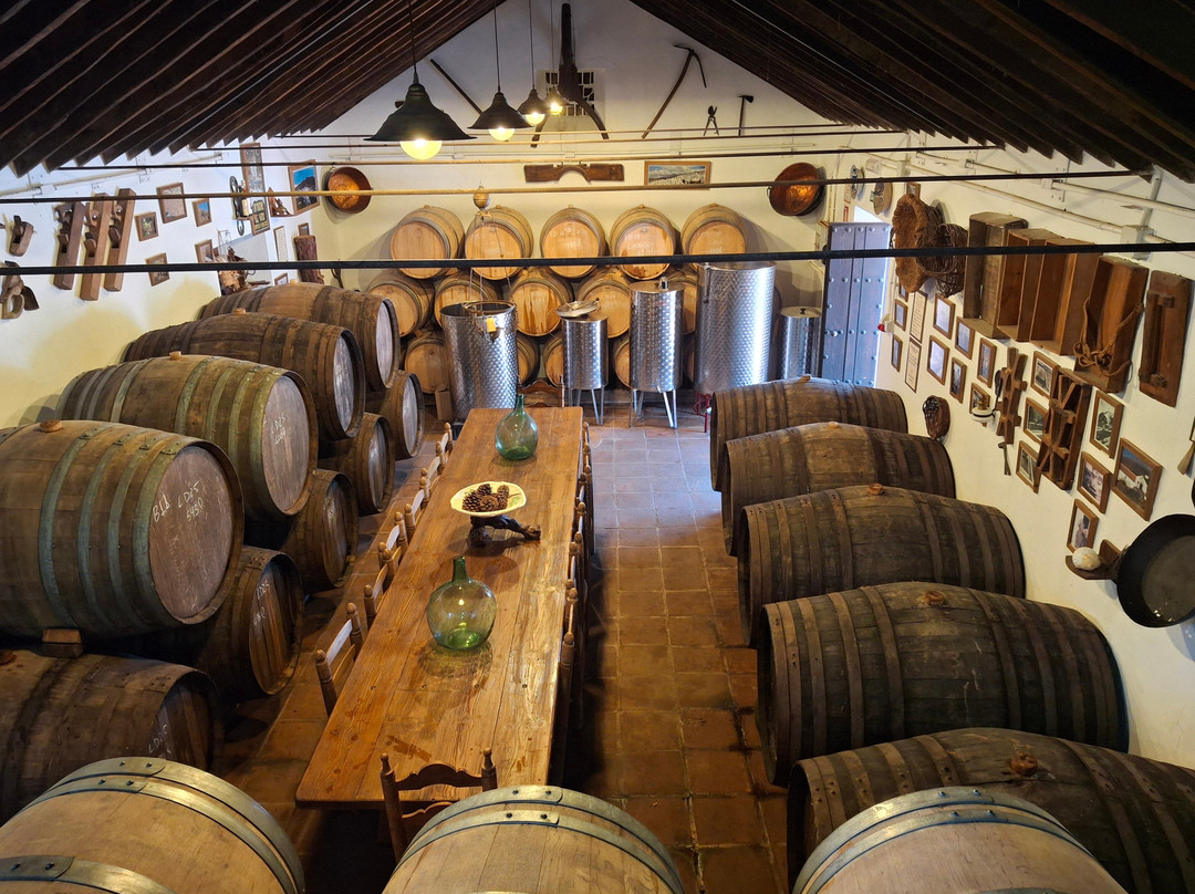 Bodegas Almijaras-Competa必去景点