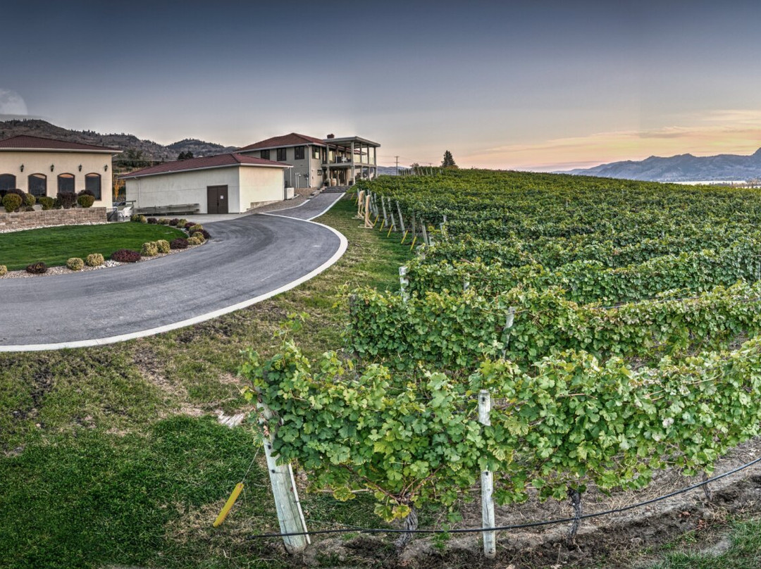 Moon Curser Vineyards-奥索尤斯必去景点