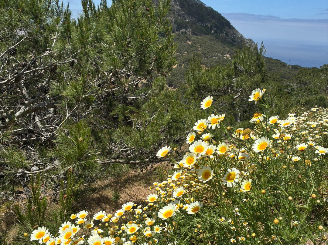 Pico Do Facho-Porto Santo Island必去景点
