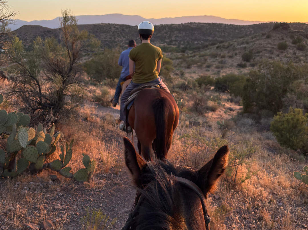 Horsin' Around Adventures-Cornville必去景点