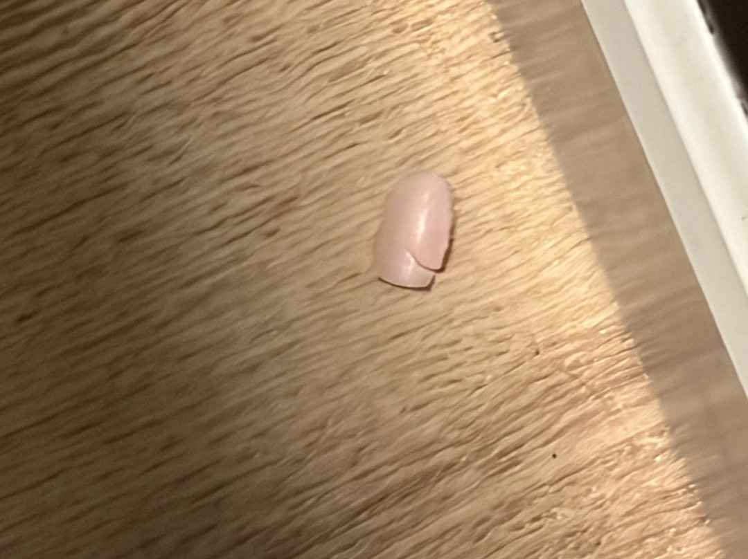哥伦比亚哈比森凯悦嘉轩酒店主图