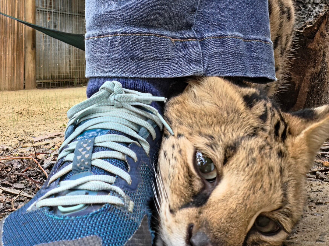 Kangaroo Island Wildlife Park-塞登必去景点