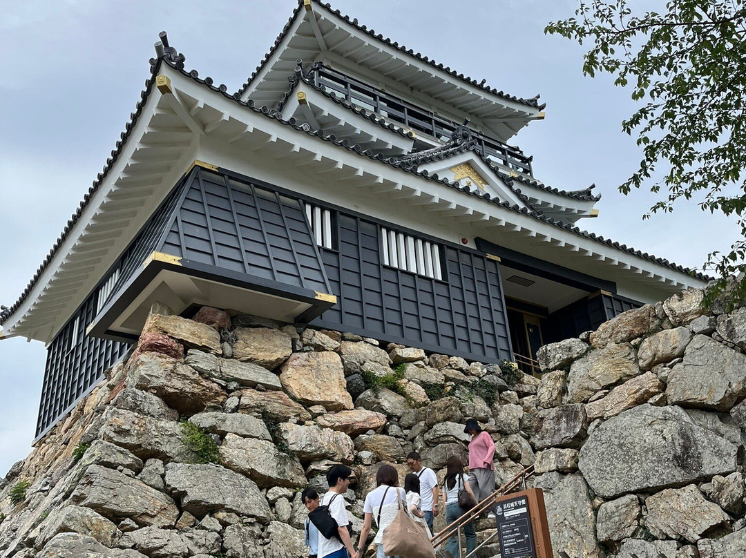 Hamamatsu Castle-滨松市必去景点