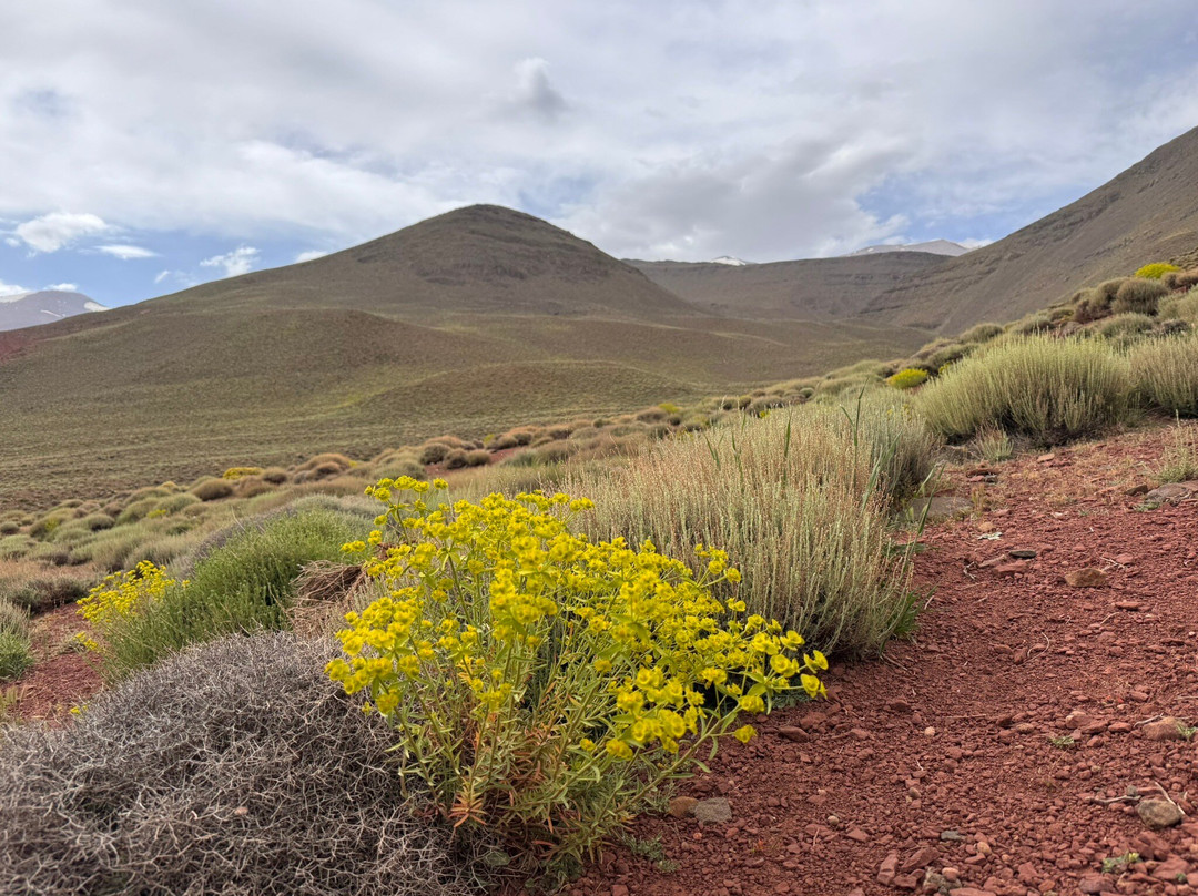Dades Gorges Trekking-Boumalne Dades必去景点