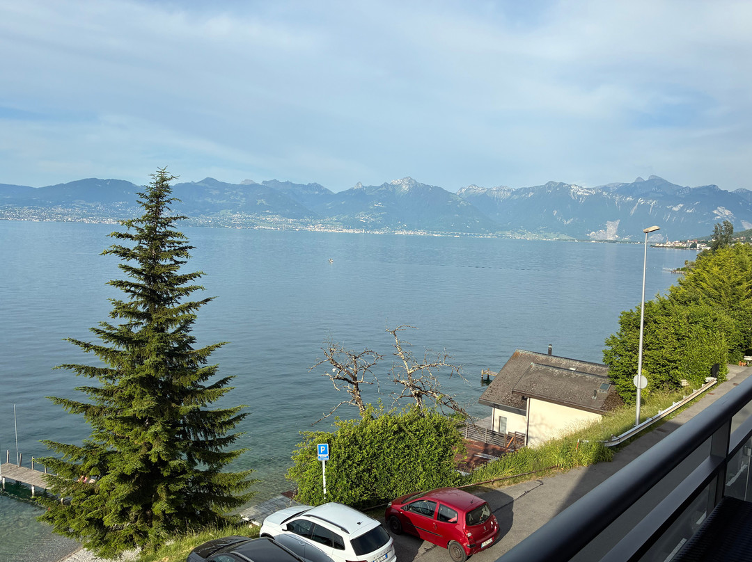 Saint-Gingolph酒店住宿-Hotel Le Leman