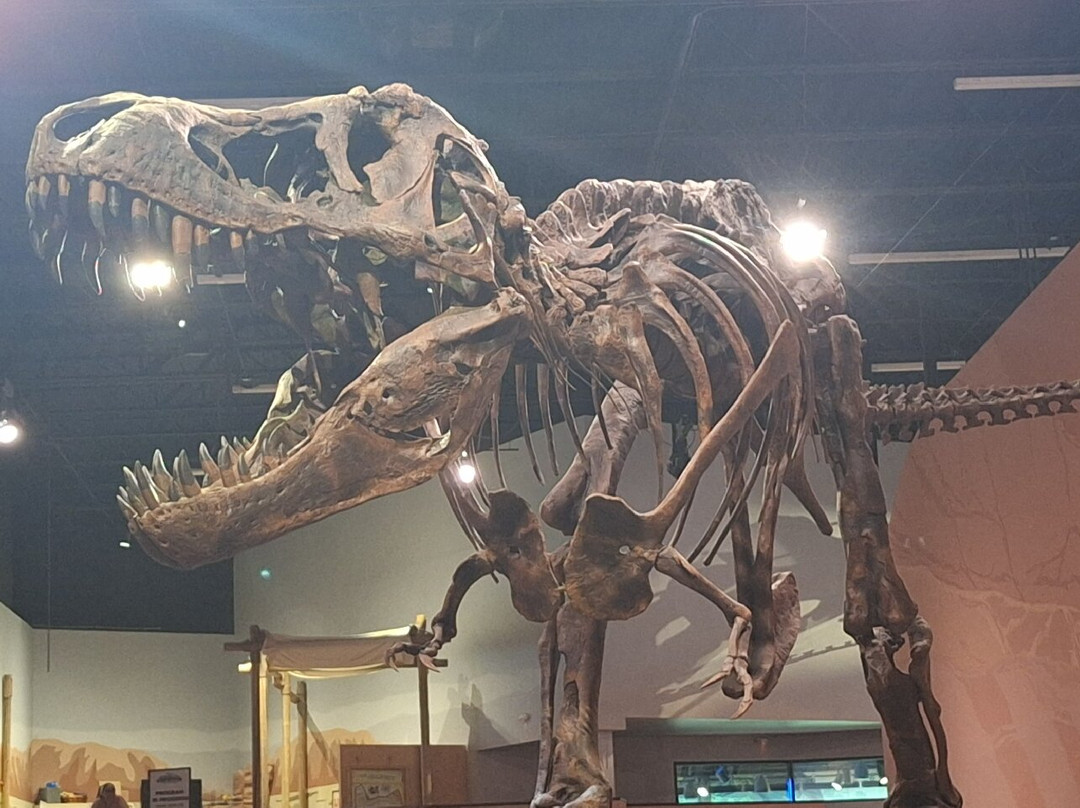 Mountain America Museum of Ancient Life-李海必去景点