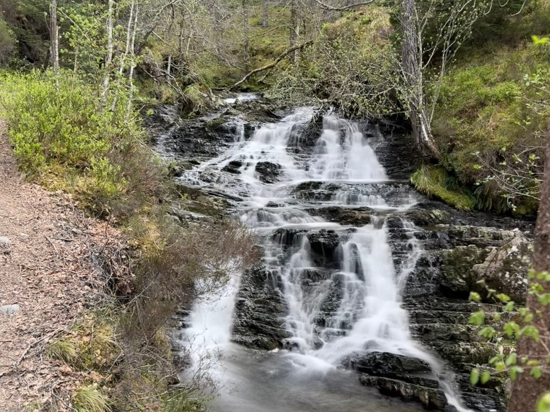 Glen Affric National Nature Reserve-Cannich必去景点