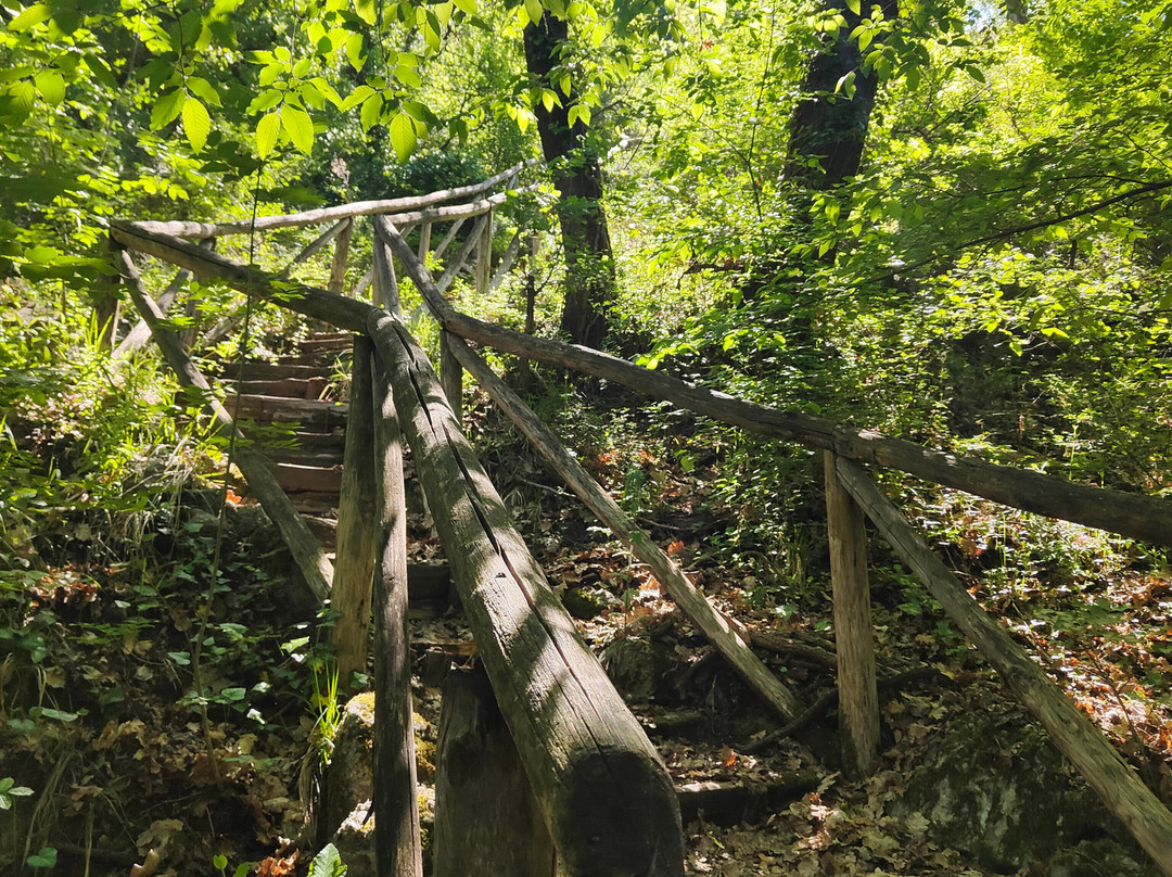 Grotta del Re Tiberio-Riolo Terme必去景点