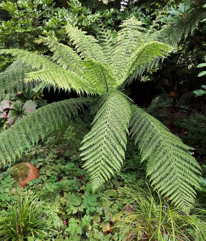 Cluain na dTor Seaside Gardens & Nursery-Falcarragh必去景点