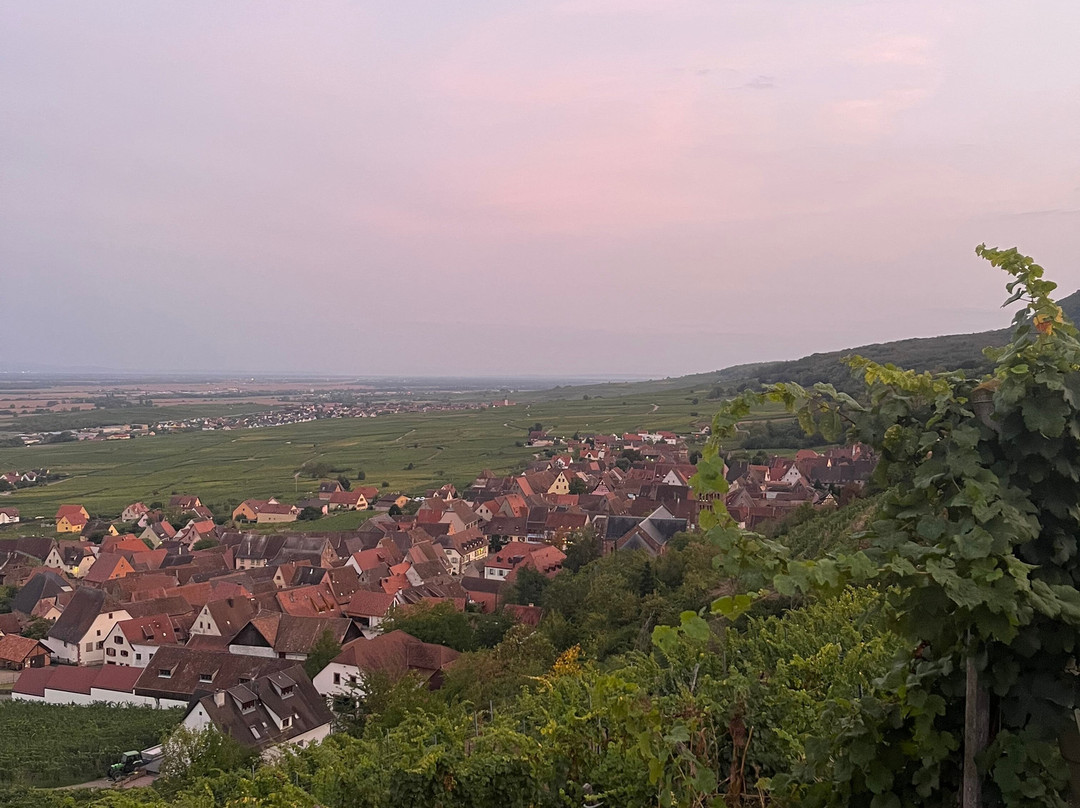 Humbrecht-Trapp-Gueberschwihr必去景点