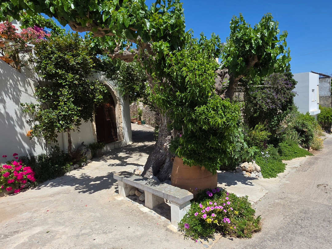 Kritsa Village-Kritsa必去景点