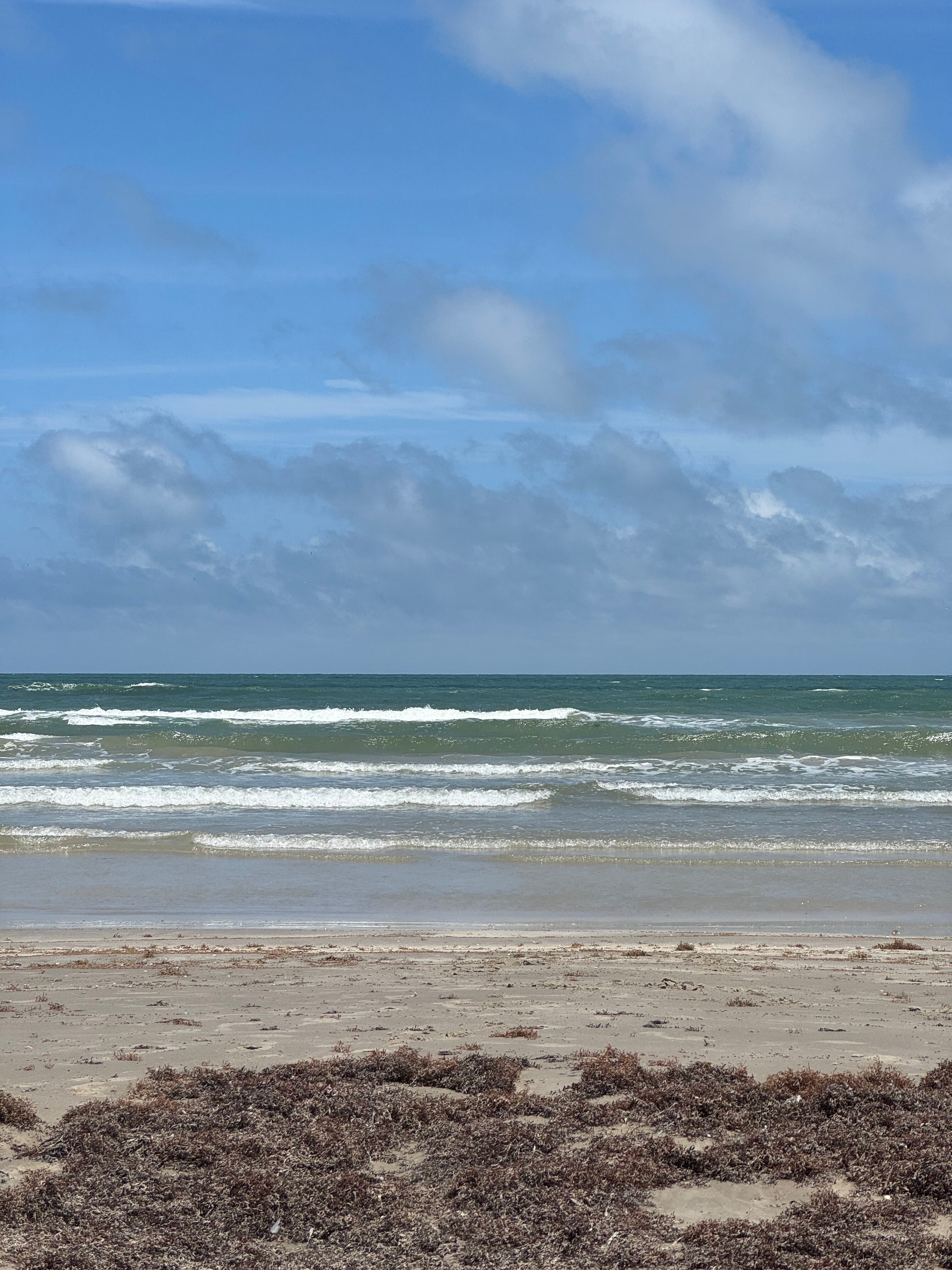 Beachcomber-旅行者