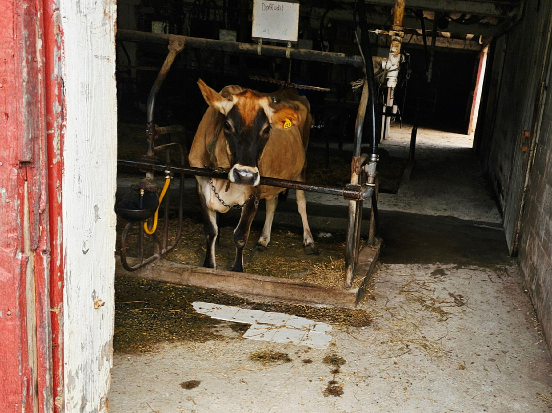 Watson Farm Produce & Dairy-Delta必去景点