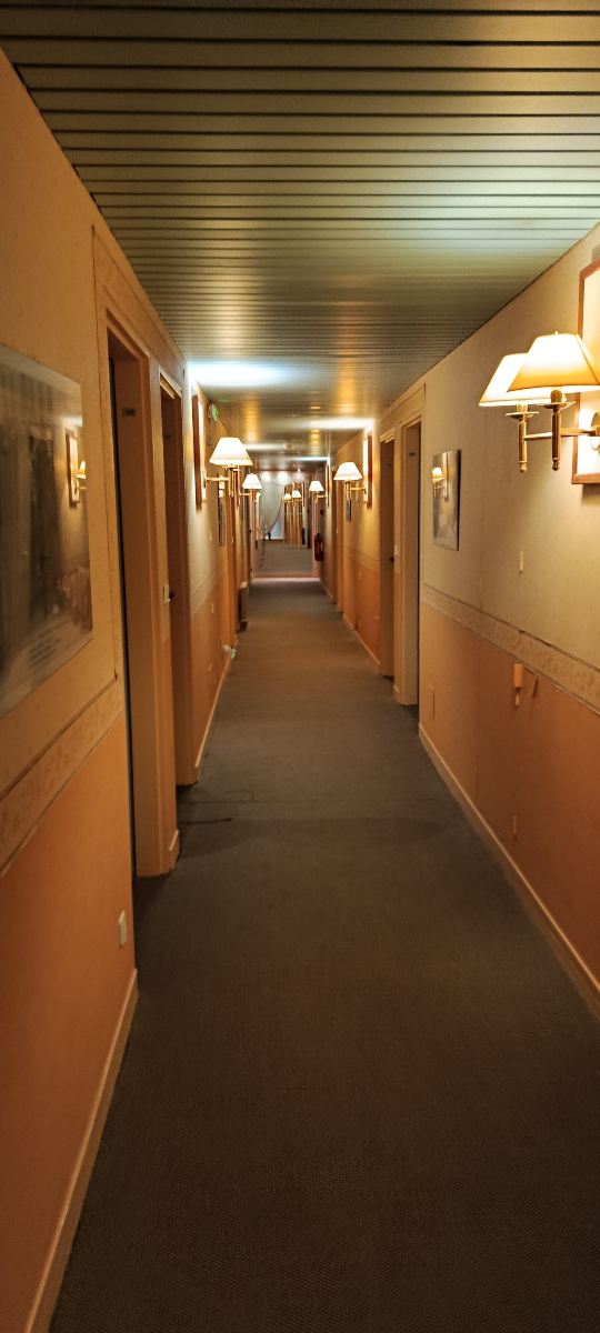 苏利酒店-旅行者