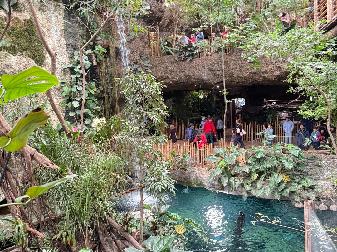 达拉斯世界水族馆-达拉斯必去景点