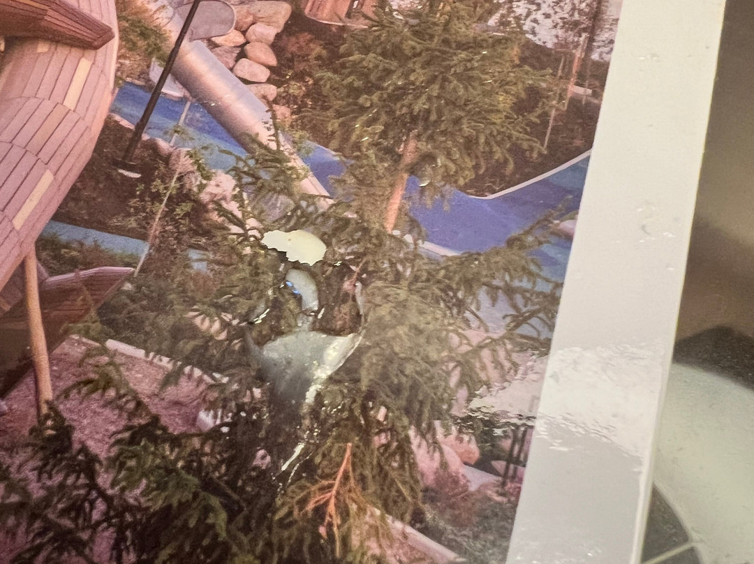 亨利酒店，傲途格精选主图