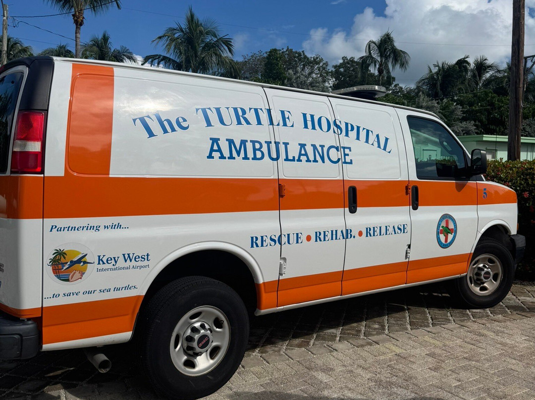The Turtle Hospital-马拉松必去景点