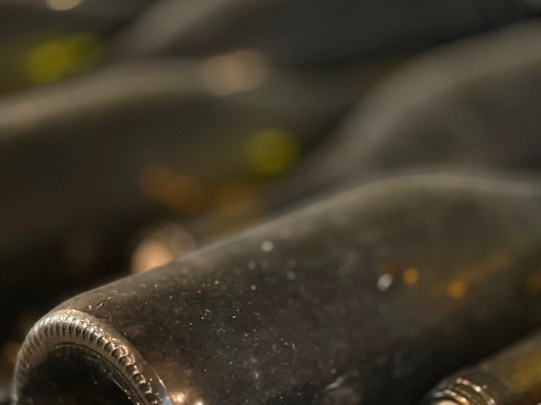 Rustica Borműhely - Rustica Winery-圣安德烈必去景点
