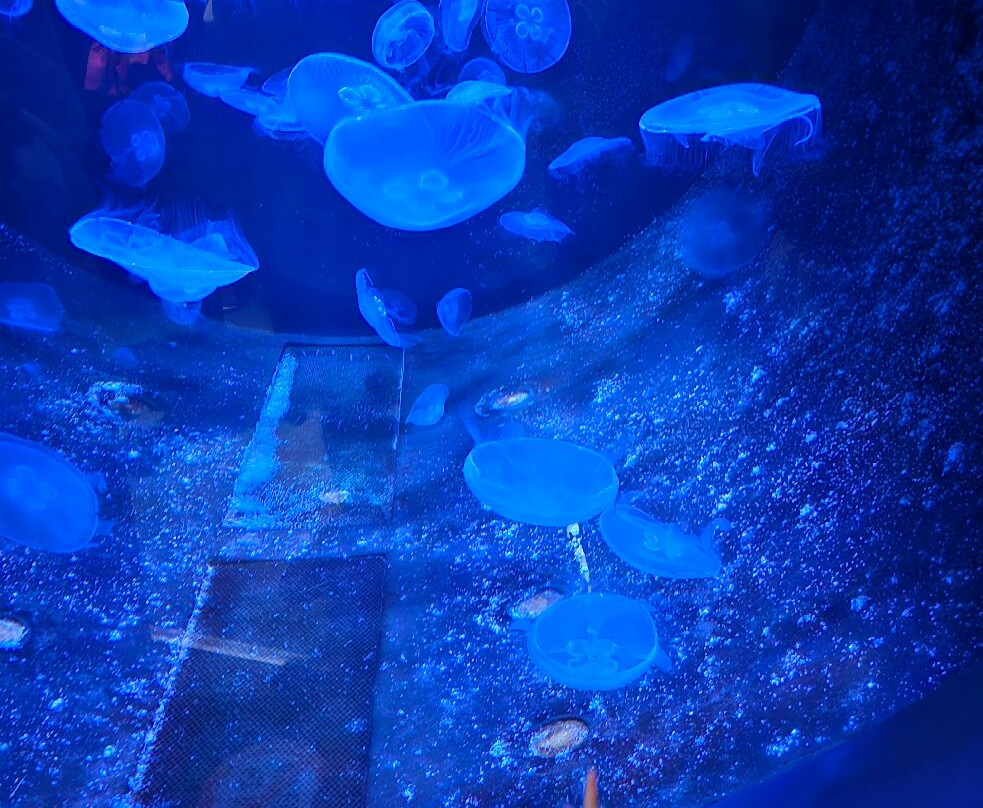 CRETAquarium-Gournes必去景点