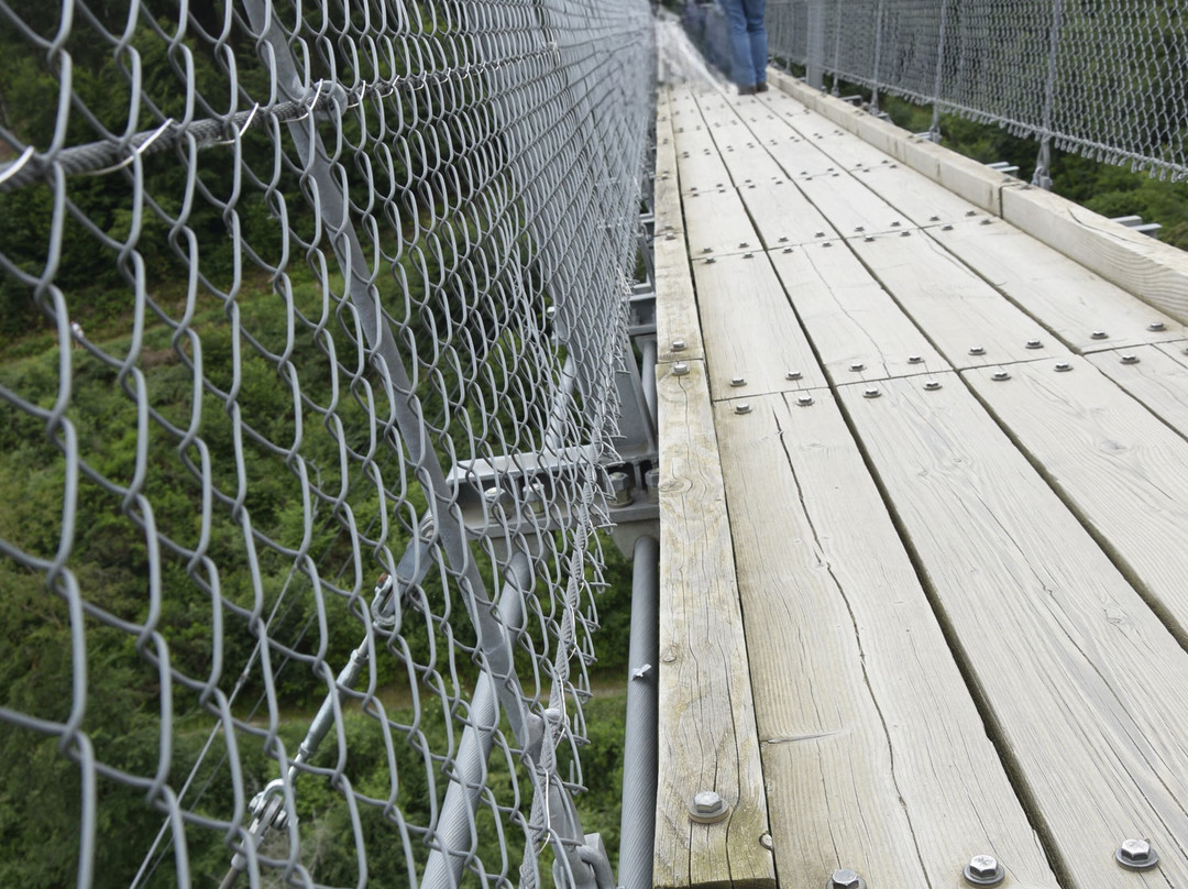 Geierlay Hängeseilbrücke-Moersdorf必去景点