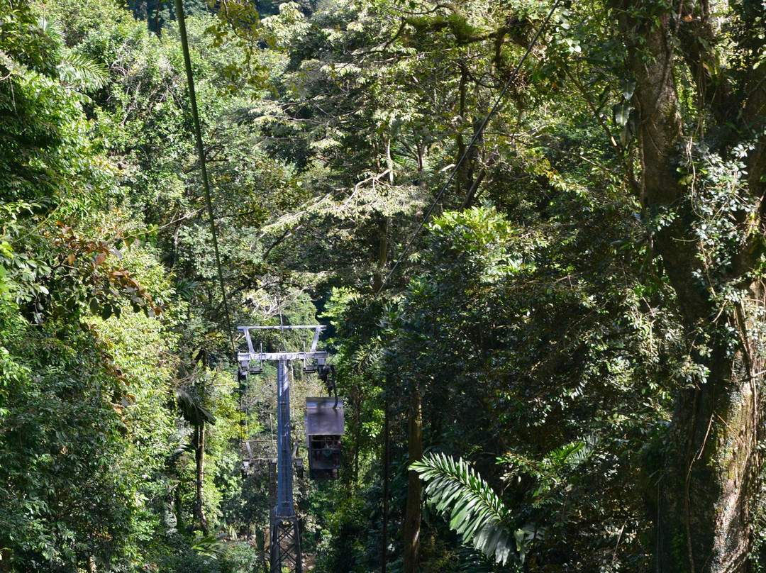 Veragua Rainforest Park-利蒙港必去景点