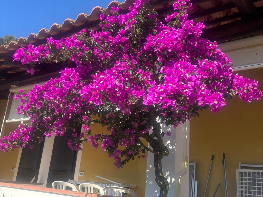 Villaggio Arco Naturale Club主图