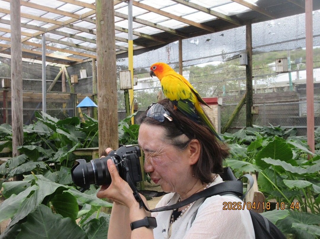 Parotte Ville Bird Sanctuary-圣马丁岛必去景点