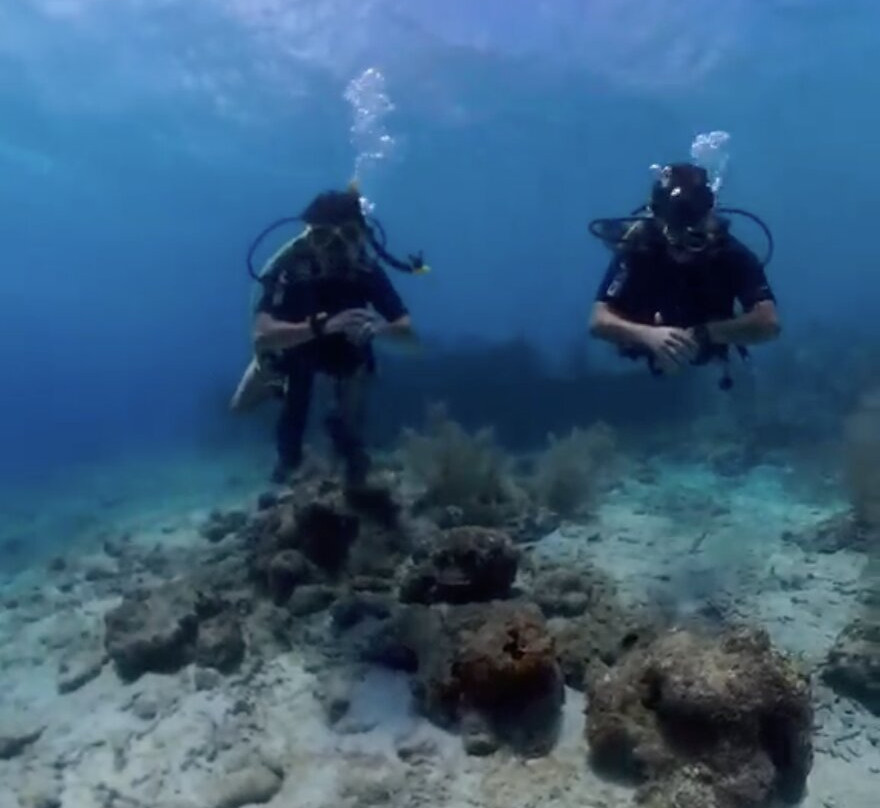 Central Dive Curacao-威廉斯塔德必去景点