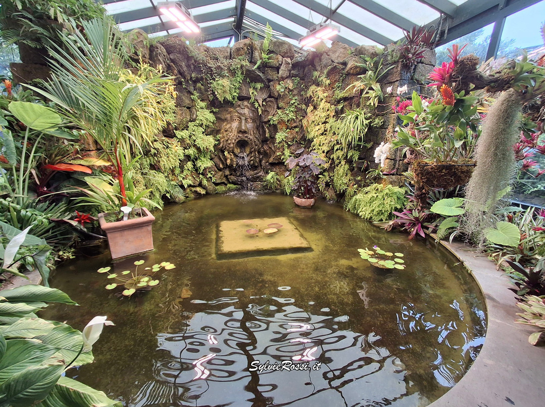 Giardini La Mortella-福里奥必去景点