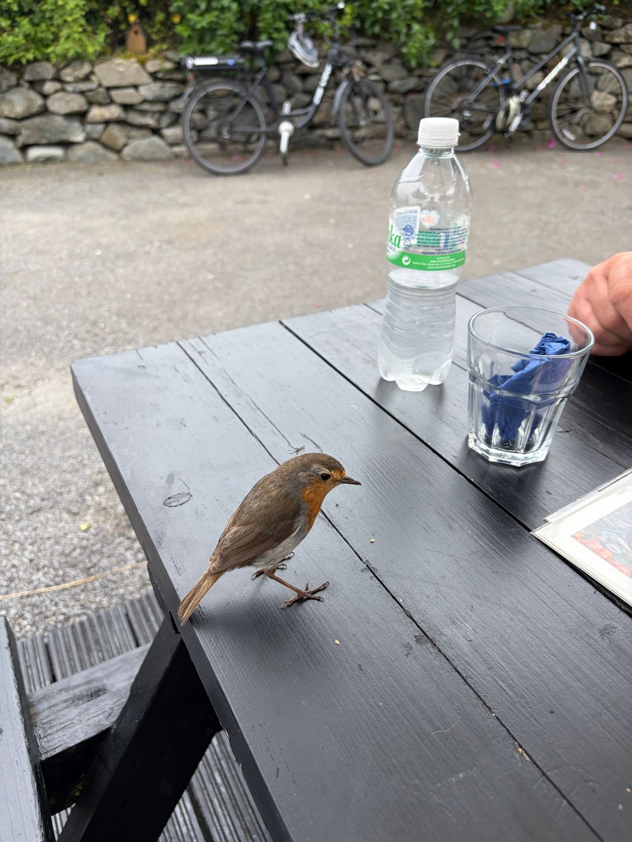 The Galley B&B & Restaurant-旅行者