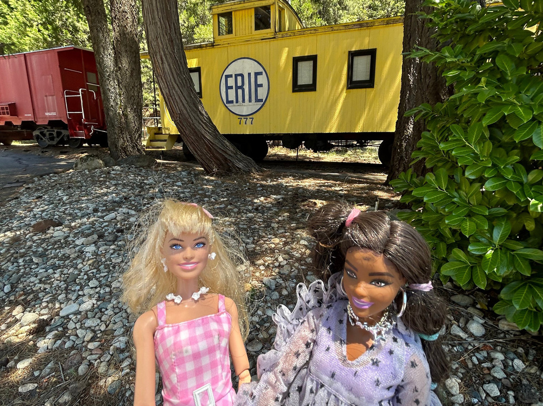 Jubilee Railroad Wilderness Lodge主图