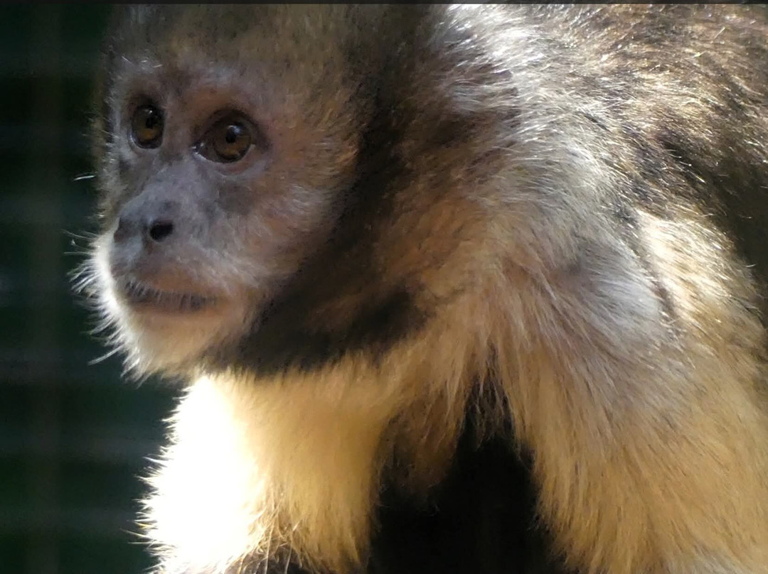 Shaldon Wildlife Trust-Shaldon必去景点