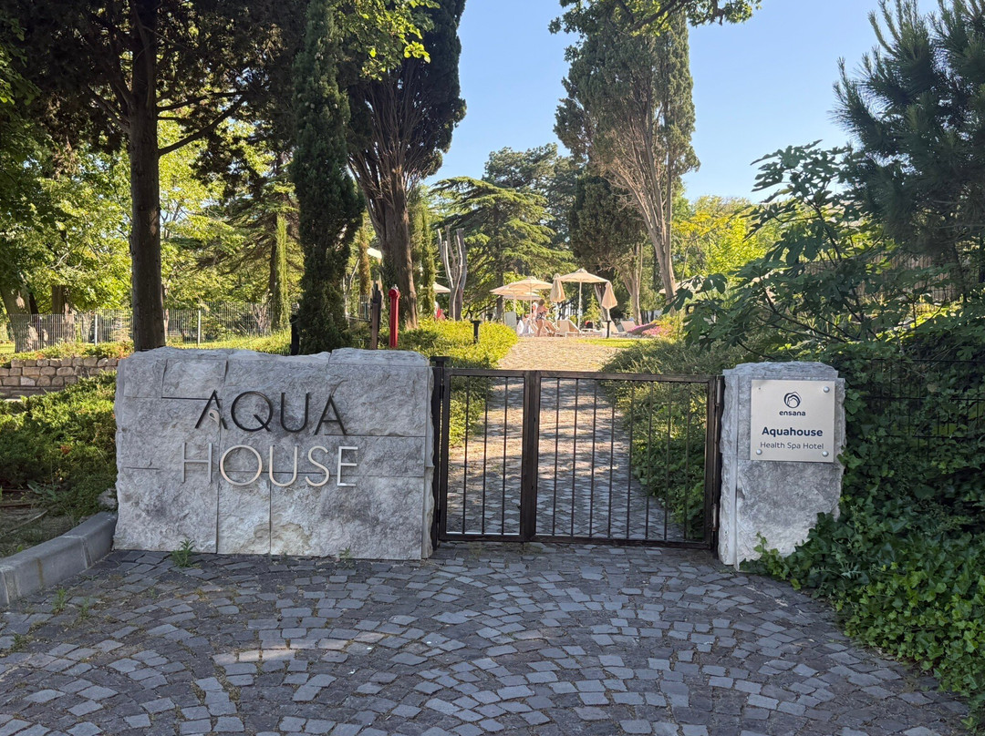 Ensana Aquahouse健康水疗酒店主图