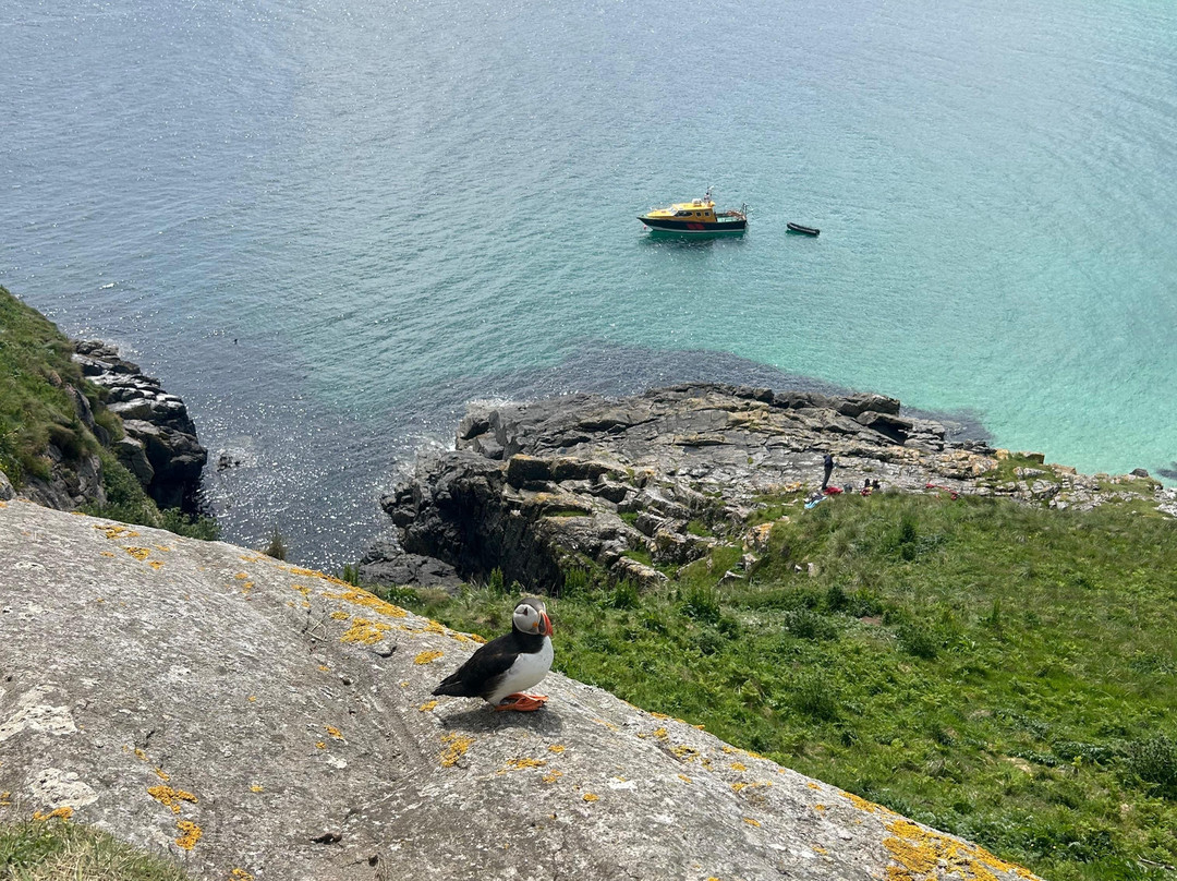 Hebridean Sea Tours-Castlebay必去景点