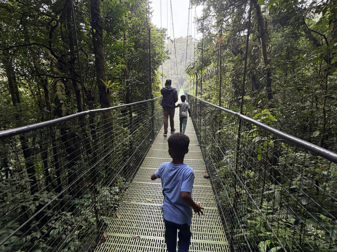 Sky Adventures - Arenal Park-阿雷纳火山国家公园必去景点