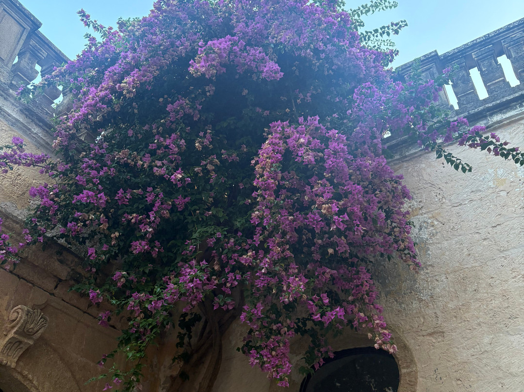Centro Storico di Presicce-Presicce必去景点