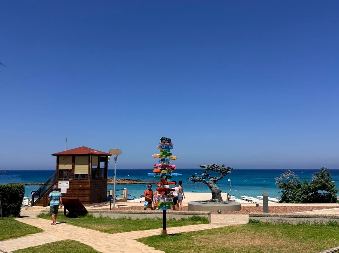 Fig Tree Bay Beach-普它肋斯必去景点