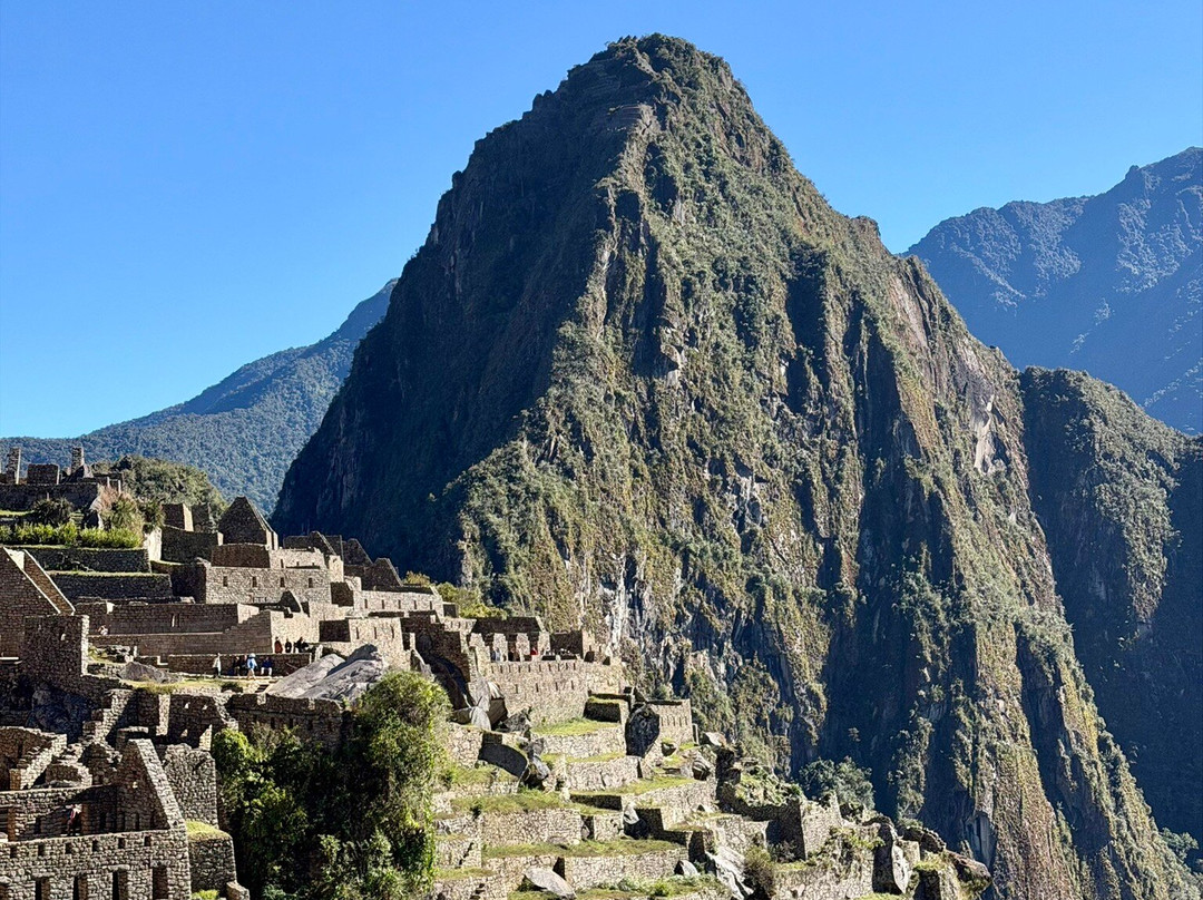 Alpaca Expeditions-库斯科必去景点