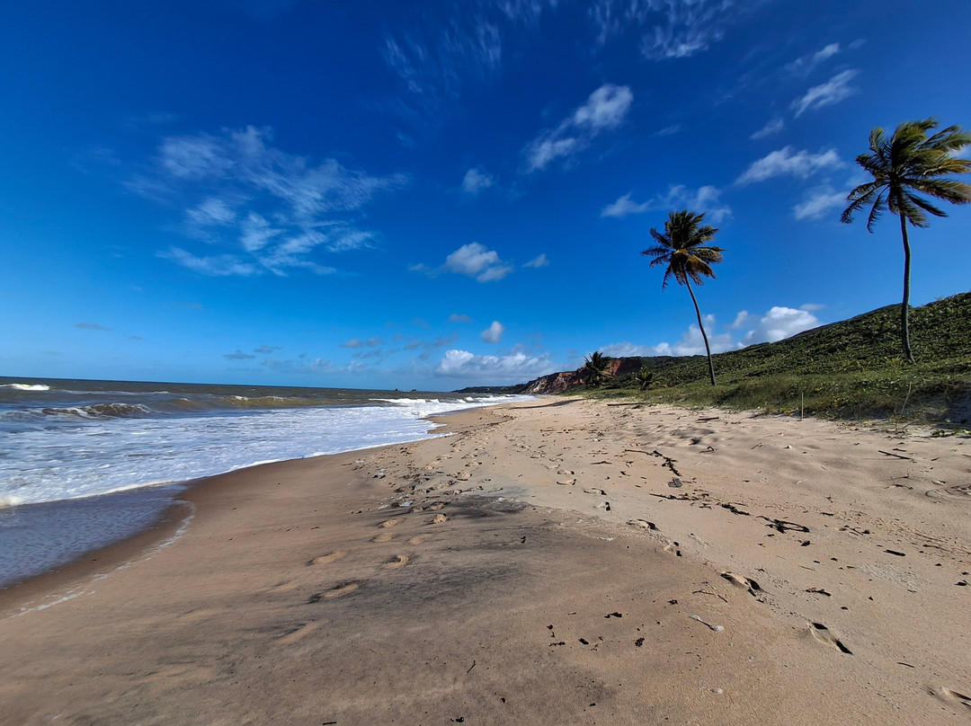Praia do Coqueirinho-Conde必去景点