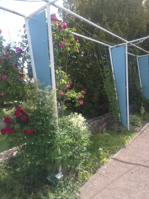 爱尔福特维克多住宅酒店-旅行者