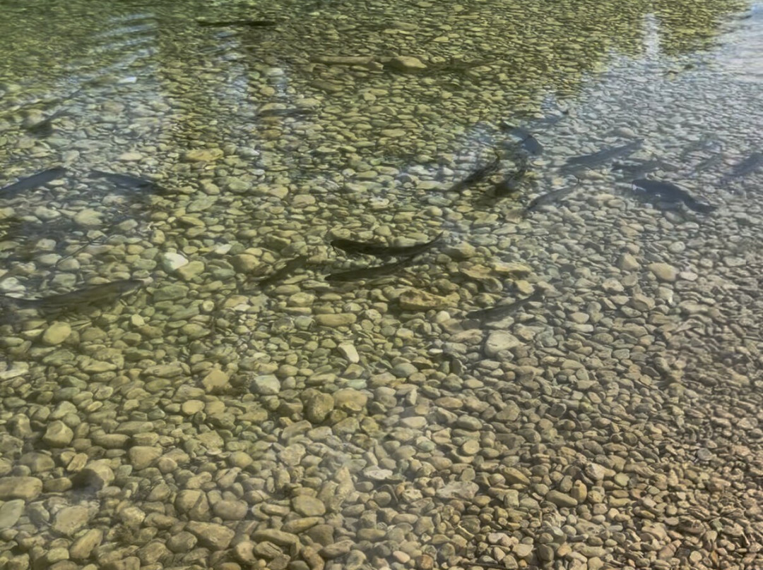 Frio River Private Access-Concan必去景点