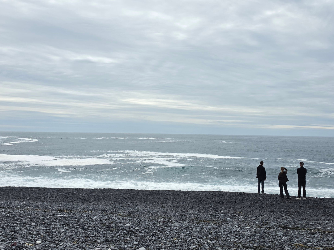 Activity Iceland-雷克雅未克必去景点