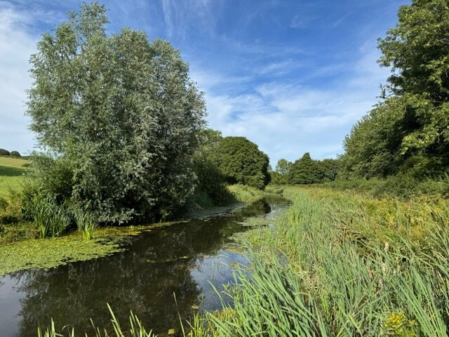 Minnows Touring Park