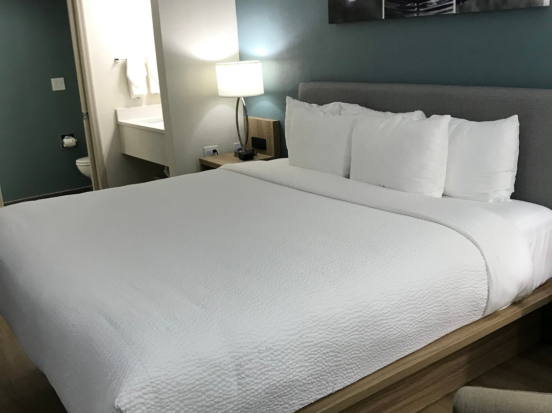 圣彼得堡克利尔沃特舒眠酒店主图