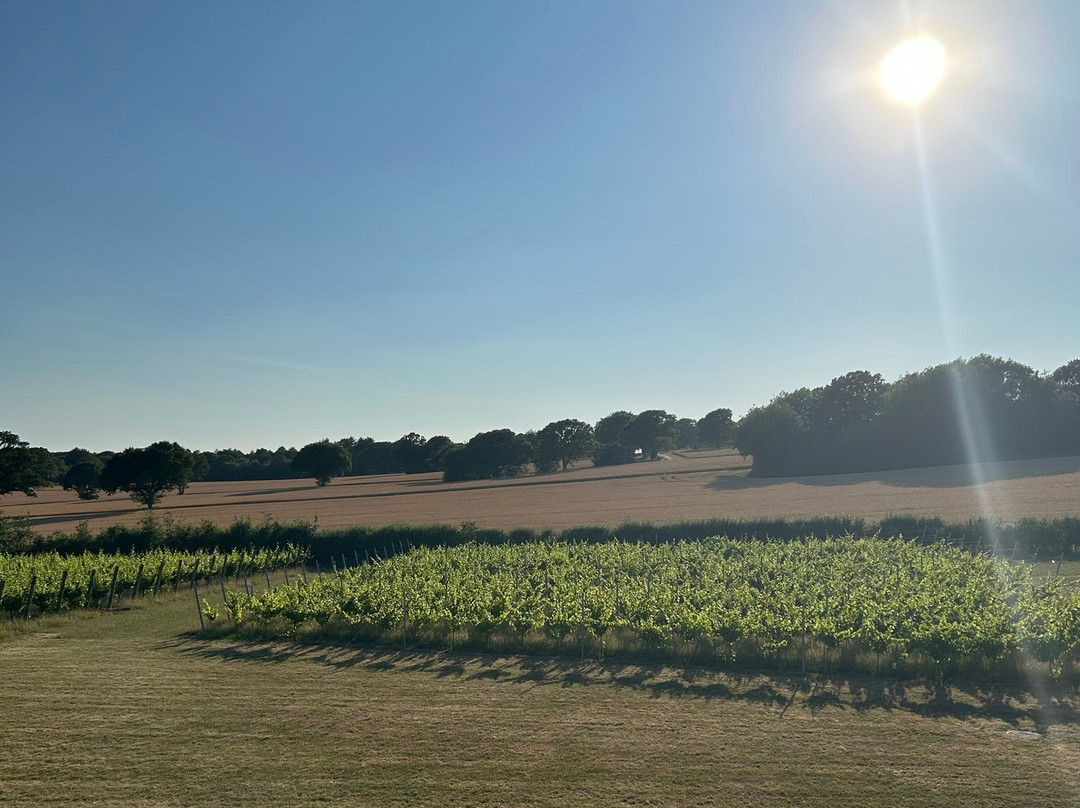 Woodchurch Vineyard-Woodchurch必去景点